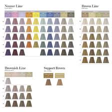 Toiroction Color Chart