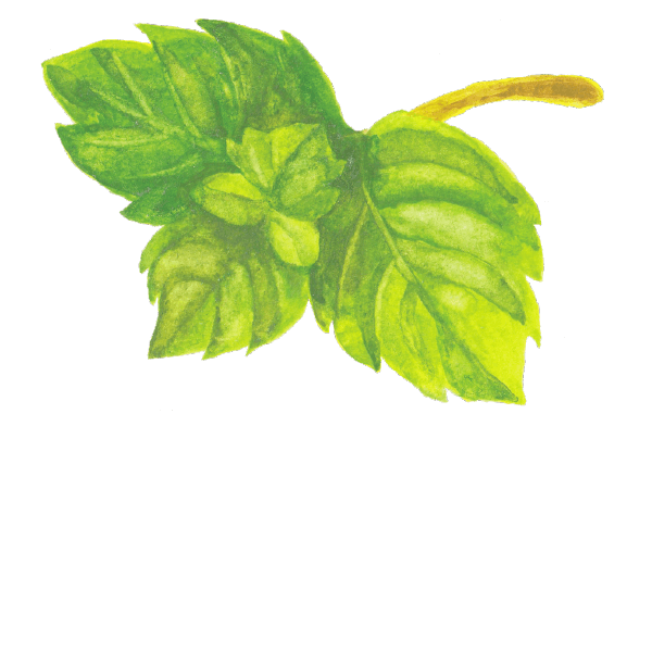 UTAU AROMA BLEND PE 35